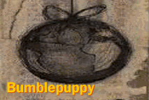 Bumblepuppy jump