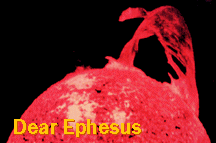 Dear Ephesus jump