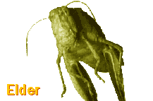 Elder jump