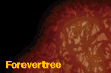 Forevertree jump